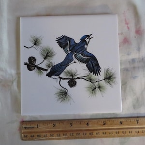 May include: A ceramic tile with a blue jay perched on a pine branch. The bird is depicted in a realistic style with detailed feathers and a bright blue color. The pine branch is green and has small pine cones.