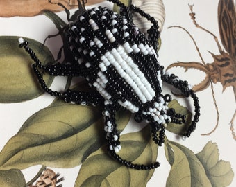 Halloween Jewelry A Finely Detailed Naturalistic Glass seed bead Black & White Spotted Beetle brooch a Fantasy Bug Pin