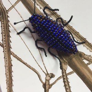 May include: A beaded insect brooch with a blue and brown body and black legs. The brooch is on a white background with a brown drawing of a stick insect.