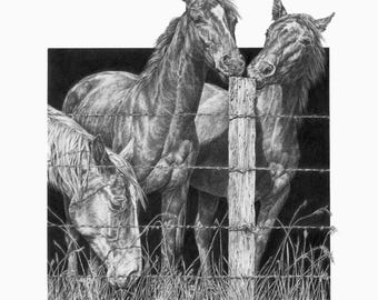 Arte de Quarter Horse; Impresión firmada de edición limitada: "Tres son multitud"