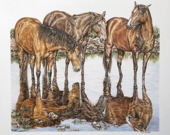Horse art print : Signed limited edition giclee of three horses in water, "Reflective Communication"