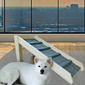 May include: A wooden pet ramp with gray carpeted steps. A white dog is in front of the ramp. The ramp is angled against a light-colored wooden floor. The background features a large window with a city view and a potted plant.