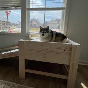 May include: A wooden dog bed with a ramp, featuring a gray and white dog sitting on the bed. The bed is made of natural wood and has a simple design. The dog bed is in front of a window with blinds.