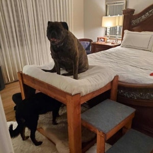 Stained/Painted Dog Bed-The ORIGINAL!!  The &quot;Kirra&quot; Elevated Dog Bunk Bed Platform  Large Dog Bunk Bed for Your Dog Bed