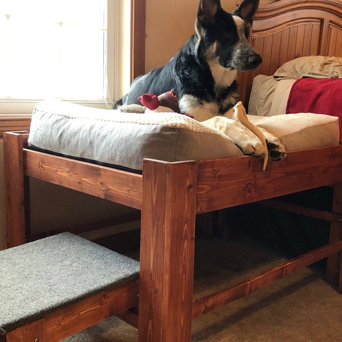 dog bunk beds etsy