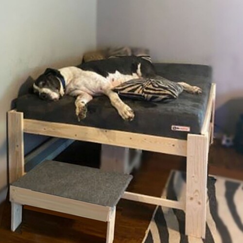 Extra Large Dog Bed With Step Rampwood Raised Dog Bed Etsy