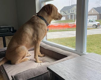 Large 30 High Wood Dog Bed Platform Only "Ollie"