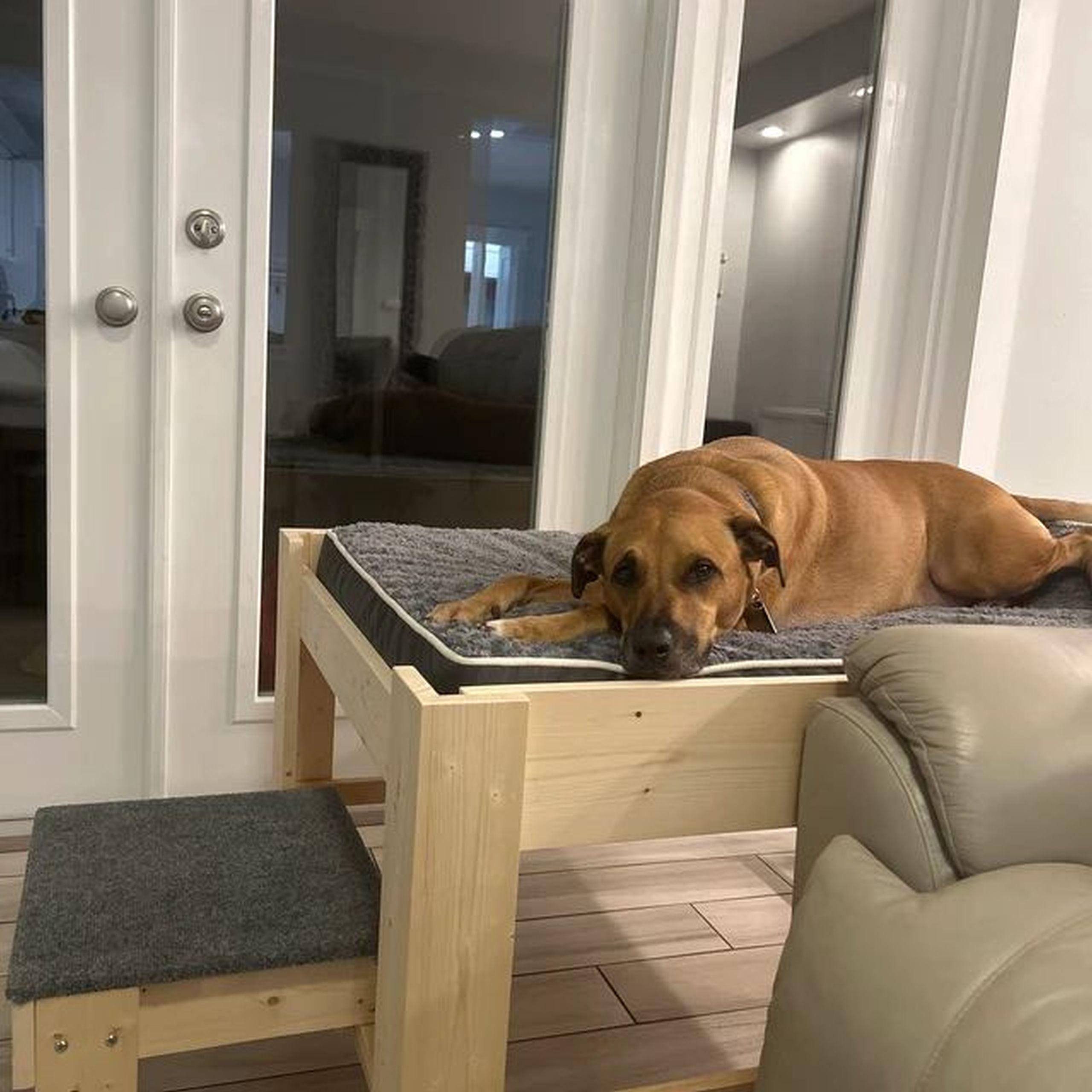 Unfinished Wood Dog Bed Platform the sophie to Hold Your Dog Bed Cushion the ORIGINAL Elevated Dog Bed Furniture Platform Etsy UK