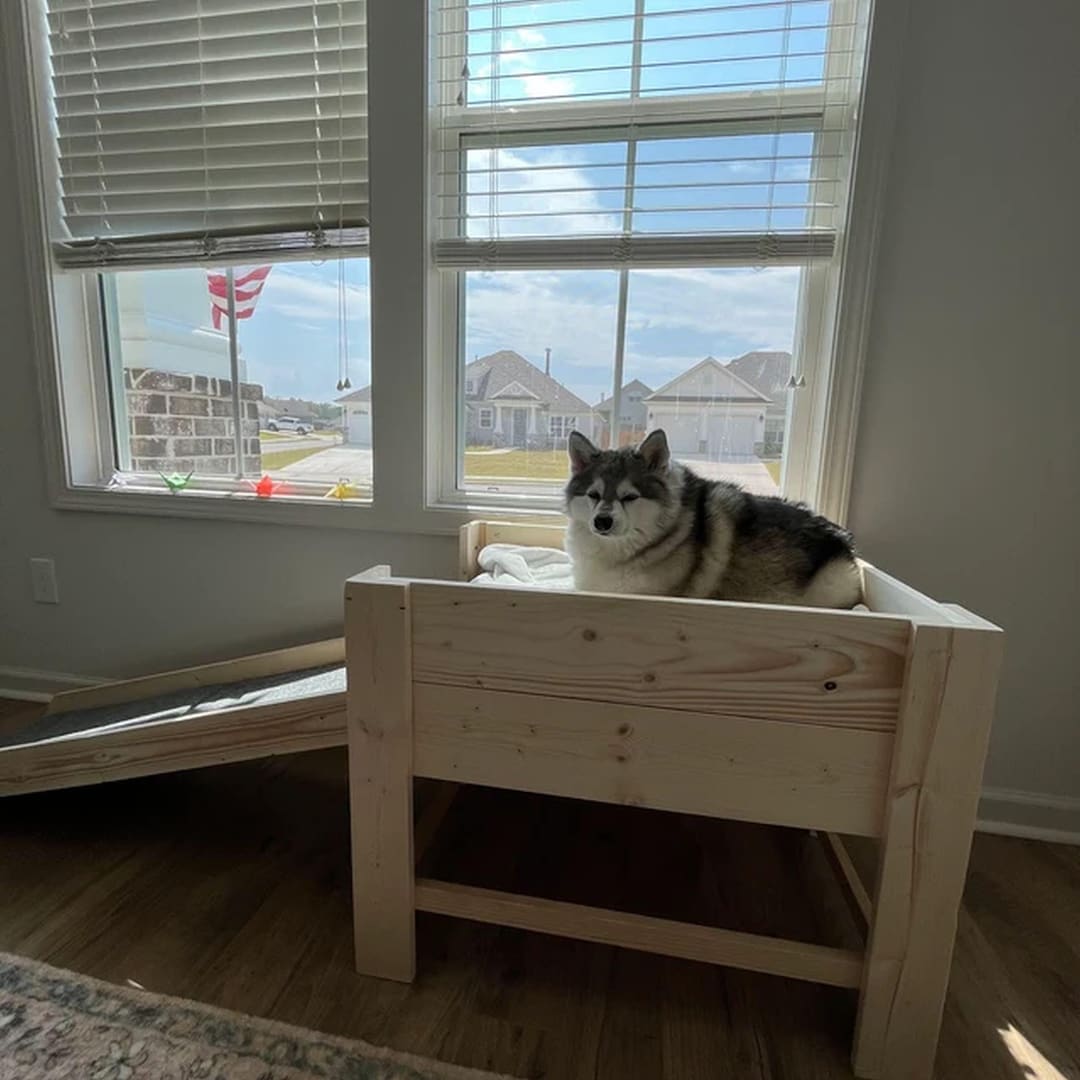 Raised Dog Bed Platform Unfinished to Hold Your Own Mattress, Style ...