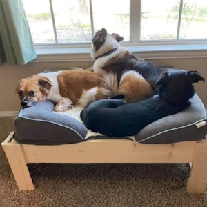 The busterthe ORIGINAL King Size Dog Bed Platform, Dog Bed Extender Wood  Raised Elevated Dog Bed Platform of the Bed 