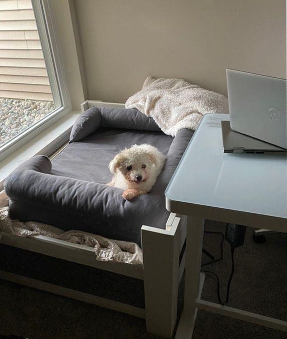 The Original handmade Wood Dog Bed Platform the sassyfor Your Dog Bed Raised Elevated Daybed Dog Foot of the Bedunfinished Furniture Etsy UK