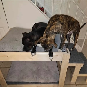 Unfinished FurnitureThe KirraThe ORIGINAL Elevated Dog Bunk Bed Platform Large Dog Bunk Bed for Your Dog Bed image 6