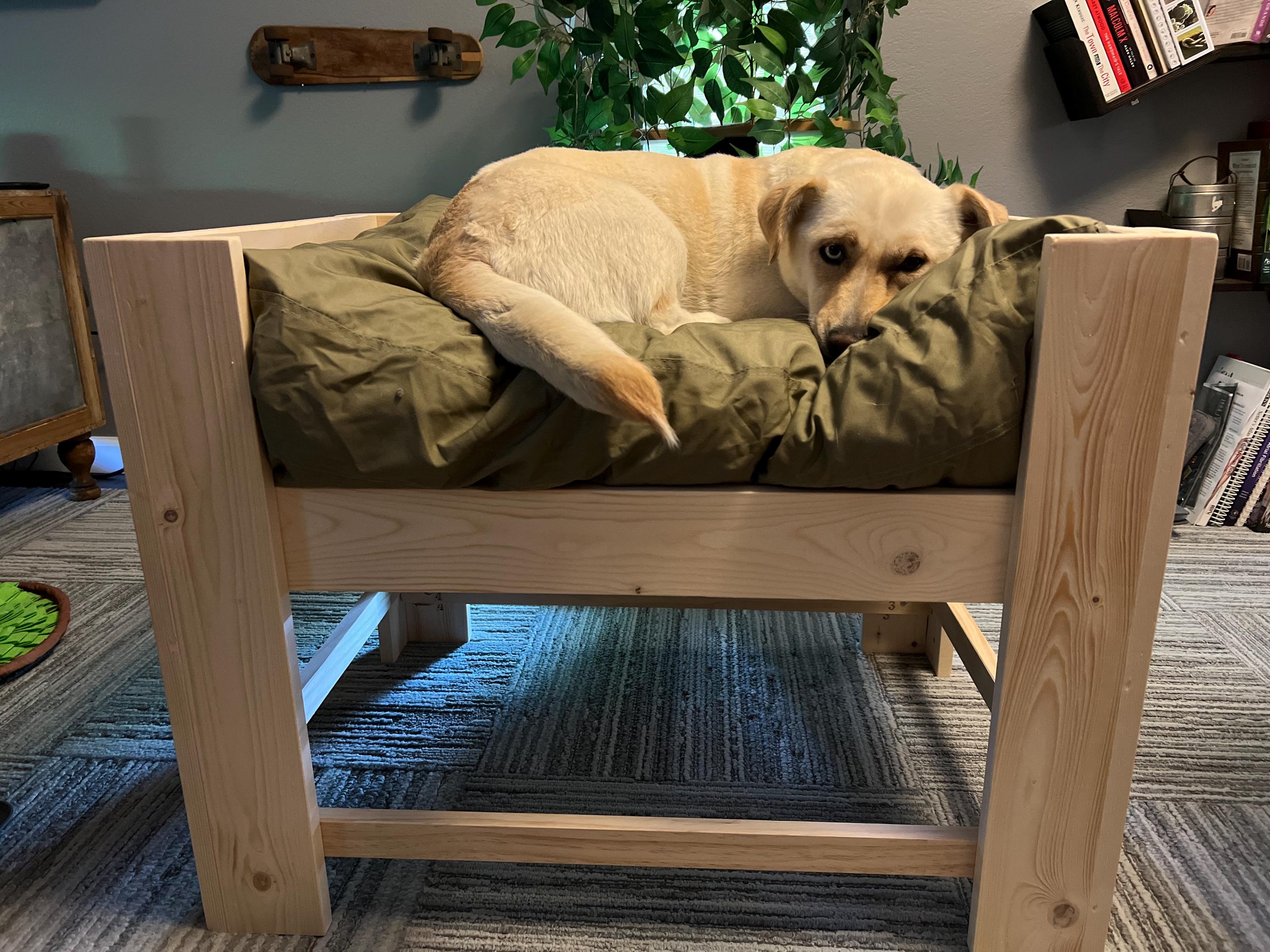 Wood Dog Bed Platform Unfinished to Hold Your Own Mattress Style the rebelthe Original Etsy UK