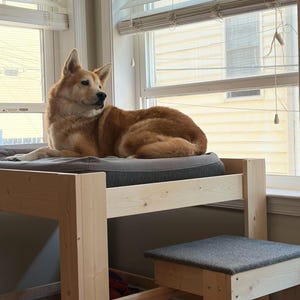 May include: A medium-sized dog with tan and white fur resting on a gray cushioned platform atop a light-colored wooden frame. A matching wooden step stool with a gray fabric top is positioned next to the elevated platform near a window.