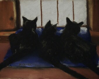 Looking Out the Back Window