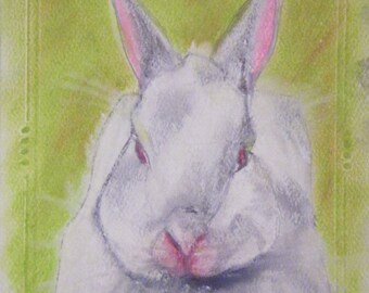 STELLA! Pastel Pet Portrait