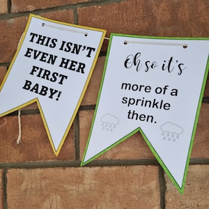 Baby Sprinkle Bunting Schitt's Creek Digital Download