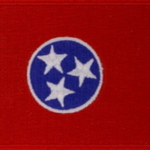 10 Pcs Tennessee USA State Flag Embroidered Patches 3&quot;x2&quot; iron-on