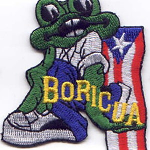 10 Pcs Puerto Rico Frog/BORICUA/Flag Embroidered Patches 3&quot;x2.5&quot; iron-on