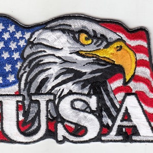 10 Pcs Eagle USA in USA Flag Embroidered Patches 3'x4" iron-on