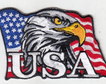10 Pcs Eagle USA in USA Flag Embroidered Patches 3'x4" iron-on