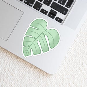 Monstera Leaf Matte Weatherproof Vinyl Die Cut Sticker | Monstera Leaf Sticker | Plant Sticker | Cute Leaf Sticker | Water Bottle Sticker