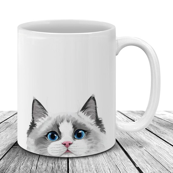 silver ragdoll