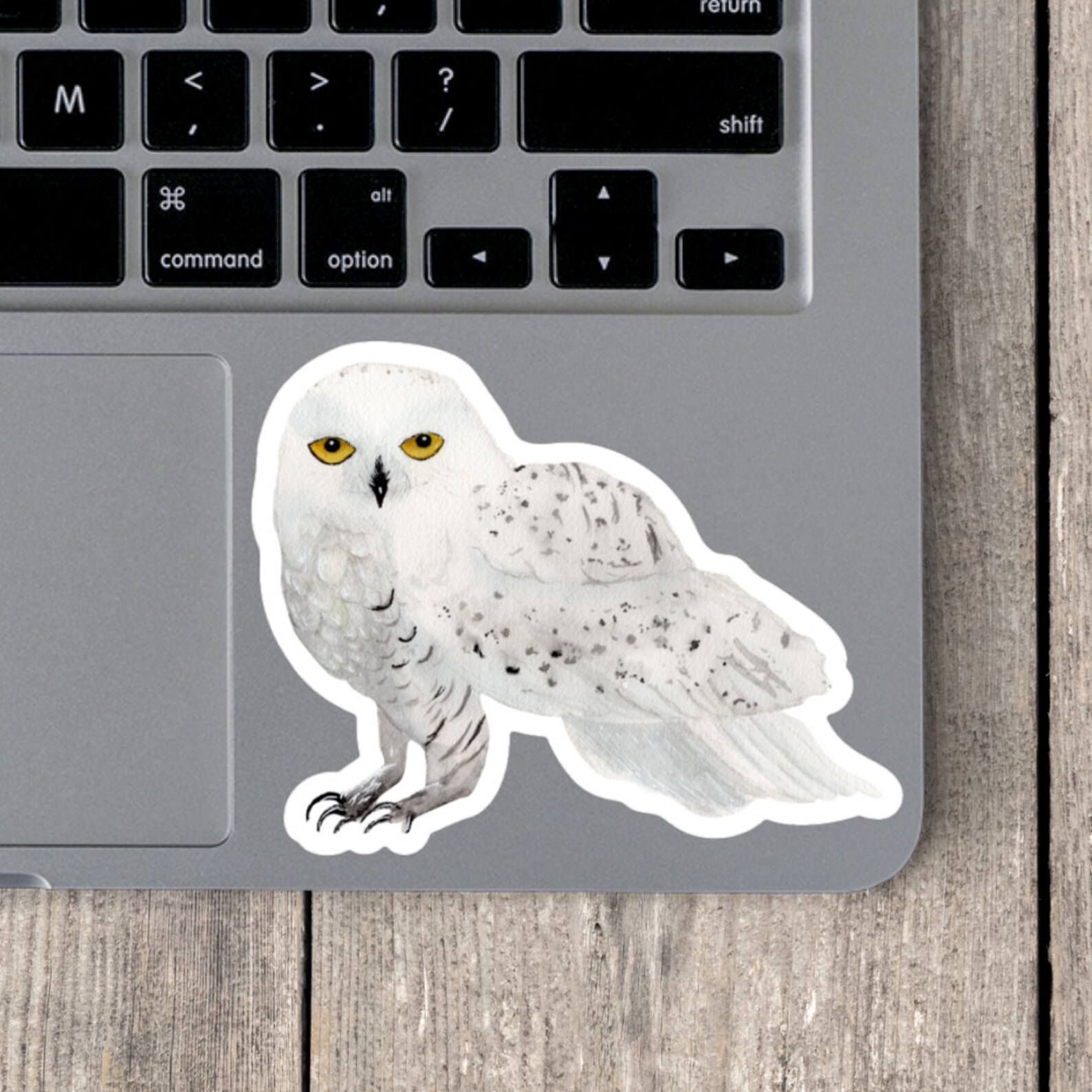 Snowy Owl Sticker Hedwig Decal Harry Potter Sticker Etsy