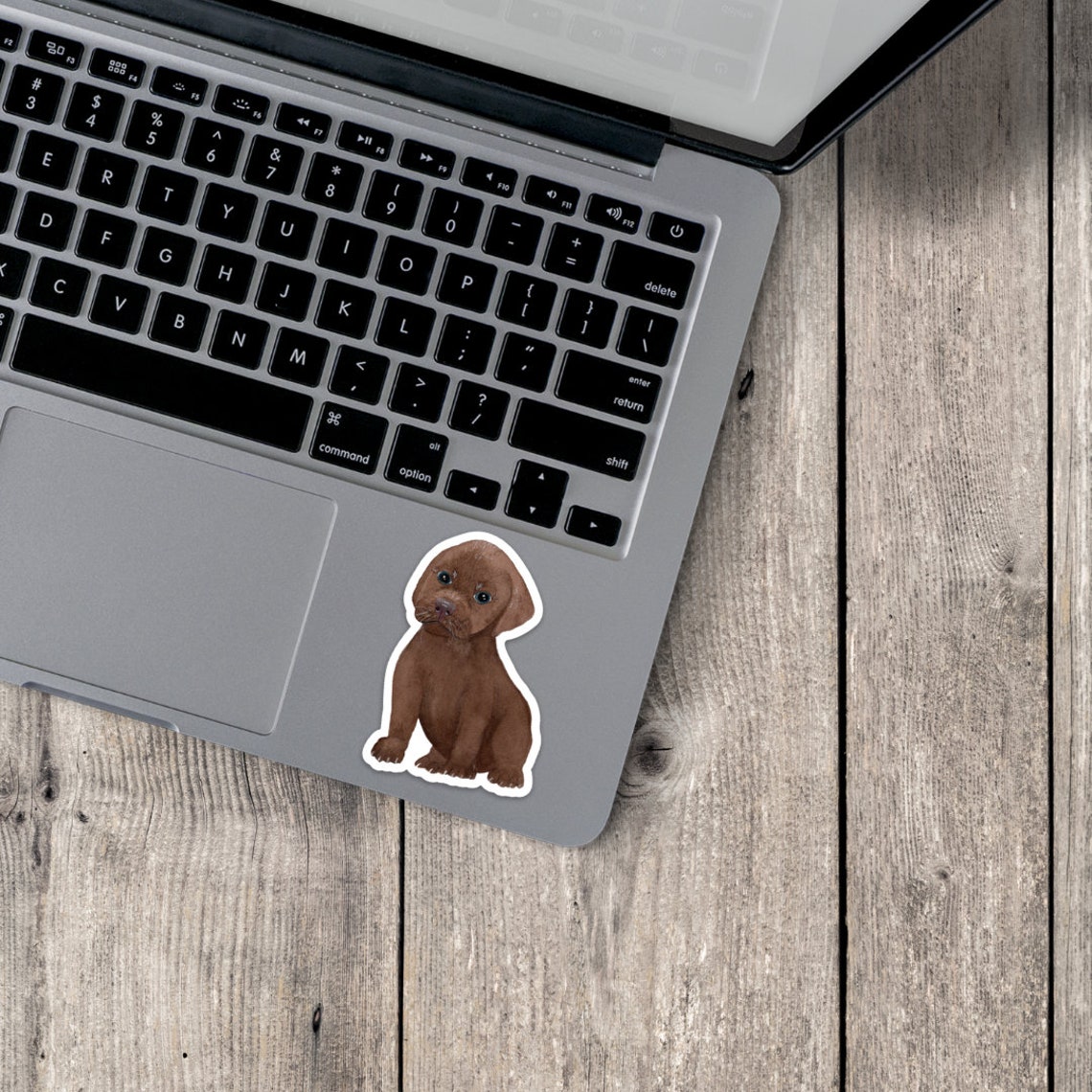 Puppy Laptop Sticker Pack Pug Decal Vinyl Sticker Pack Etsy