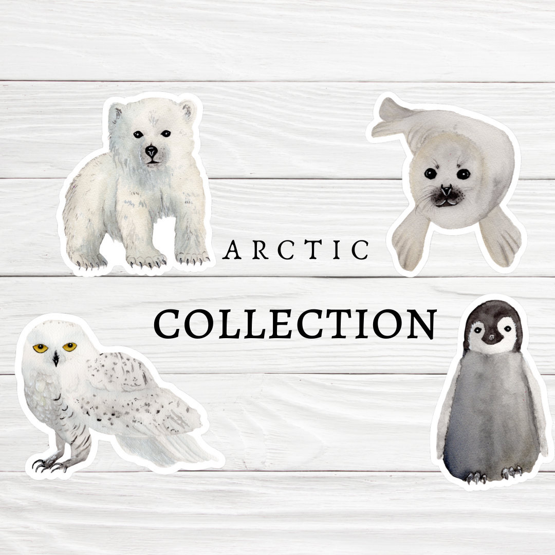 Arctic Animal Stickers Set of 4 Vinyl Sticker Pack Cute Etsy