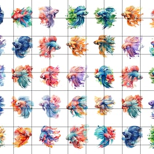 Mini Watercolor Betta Fish Full Color Transparency Resin Inclusion, No Adhesive