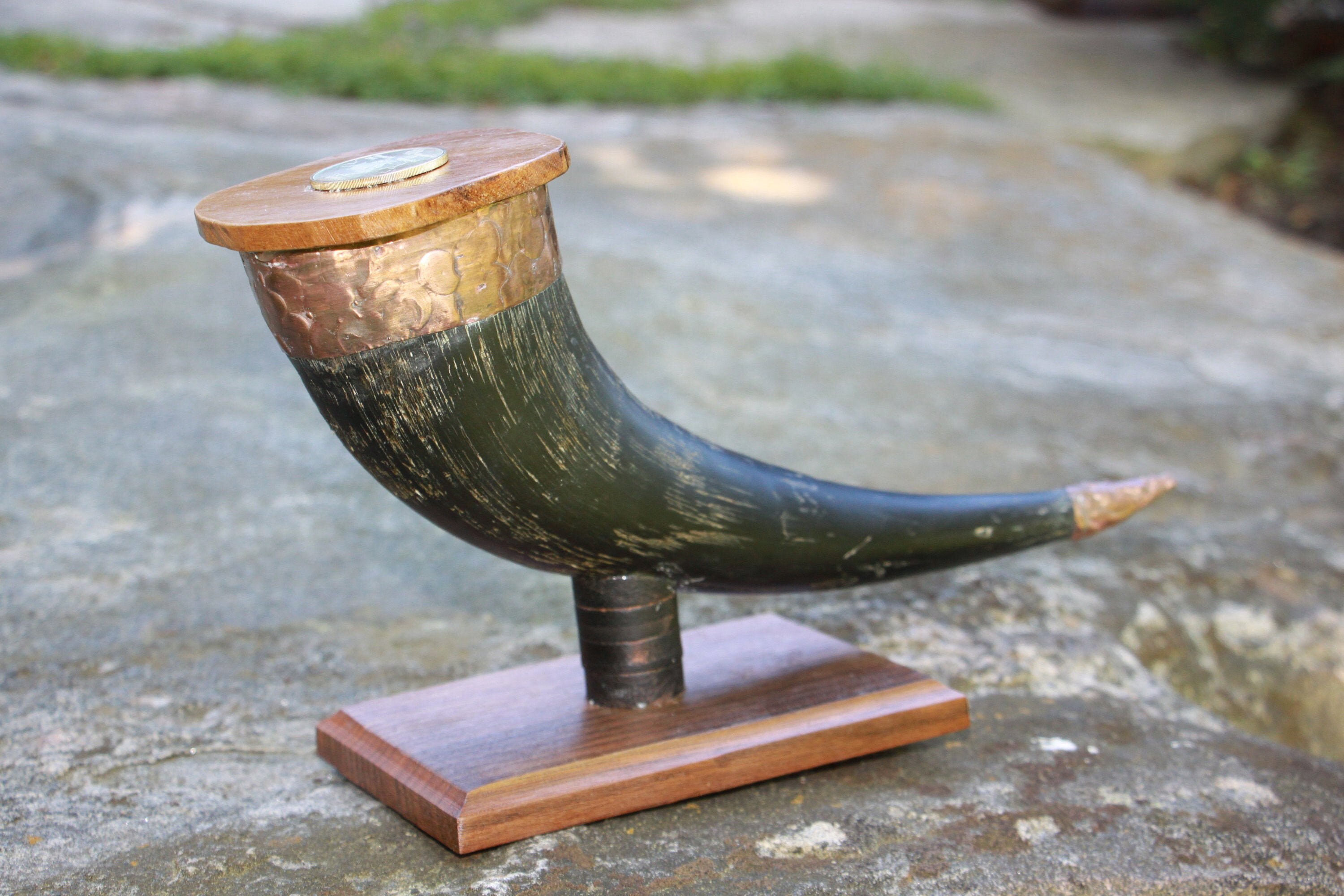 A truly vintage North American bison horn uniquely mounted Etsy