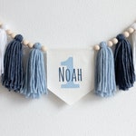 First Birthday Boy Decorations