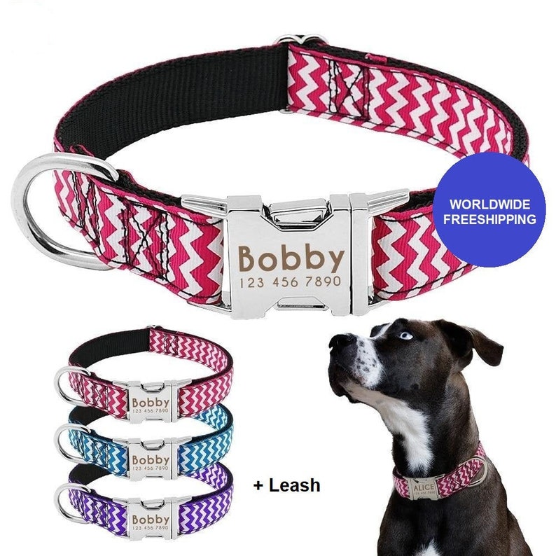 Personalized Dog Collar Leash with Name and Phone Number Etsy