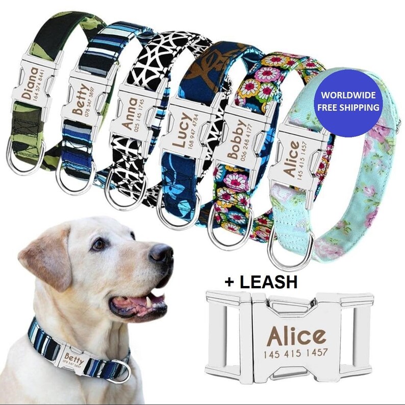 Personalized Dog Collar Leash with Name and Phone Number Etsy