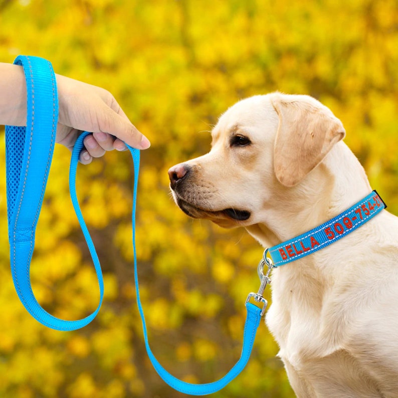 Personalized Reflective Dog Collar Leash Embroidered with Etsy