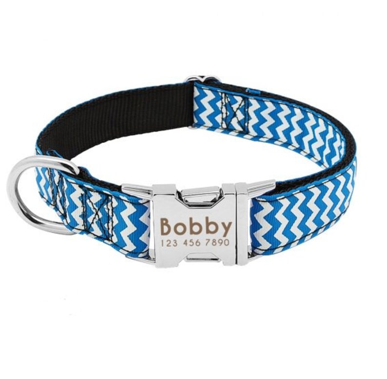 Personalized Dog Collar Leash with Name and Phone Number Etsy