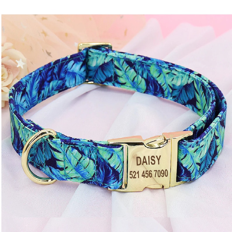 Collar de perro personalizado con nombre y número de teléfono Etsy