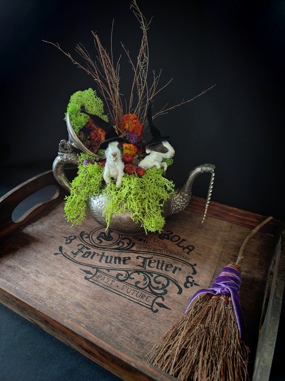 The Witch's Tea - Taxidermy Arrangement - Centerpiece