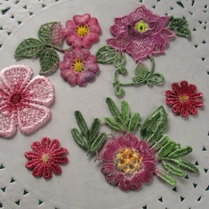 Crazy Quilt Spitzen Applikation Kit, Spitzenblumen, Spitzen Verzierungspackung, Handgefärbte Spitze #31 6 Stk