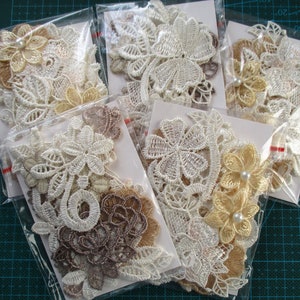 Può includere: Assortimento di applicazioni in pizzo bianco, crema e beige in vari motivi floreali e a foglia. Le applicazioni sono confezionate in sacchetti di plastica trasparenti.