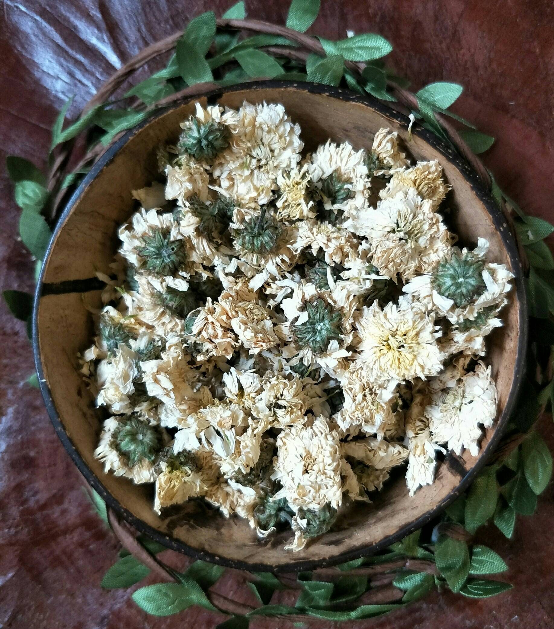 Dried Chrysanthemum Flowers Plastic Free Herbal Tea Etsy