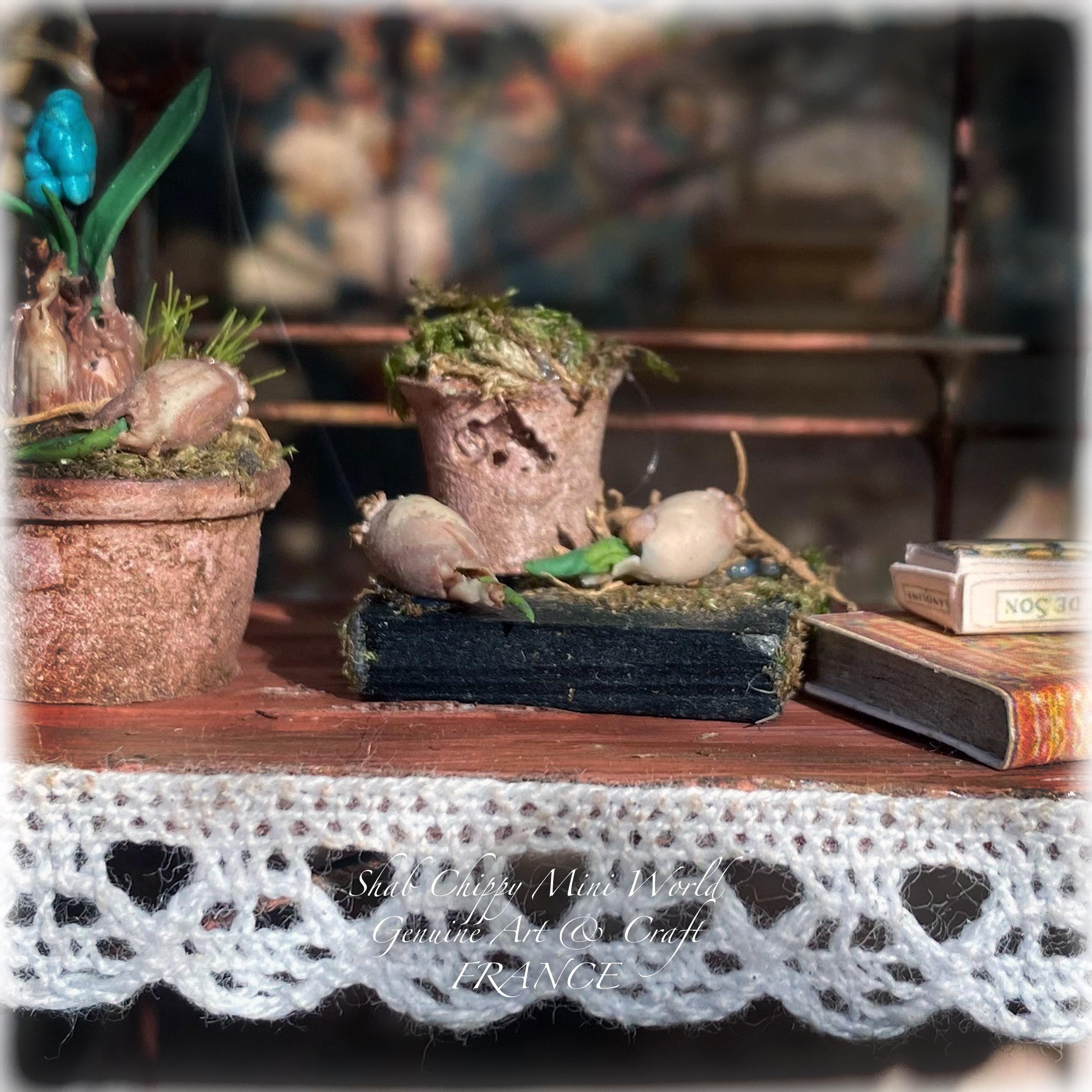February 2025 - Repotting spring bulbs on black tray - Decorative object - Shabby chic - 1/12th scale dollhouse - OOAK