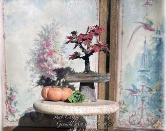 February 2025 - Maple Bonsai in Japanese smoked ceramic type pot - Miniature collector plant - Shabby Chic - Dollhouse 1/12th - OOAK