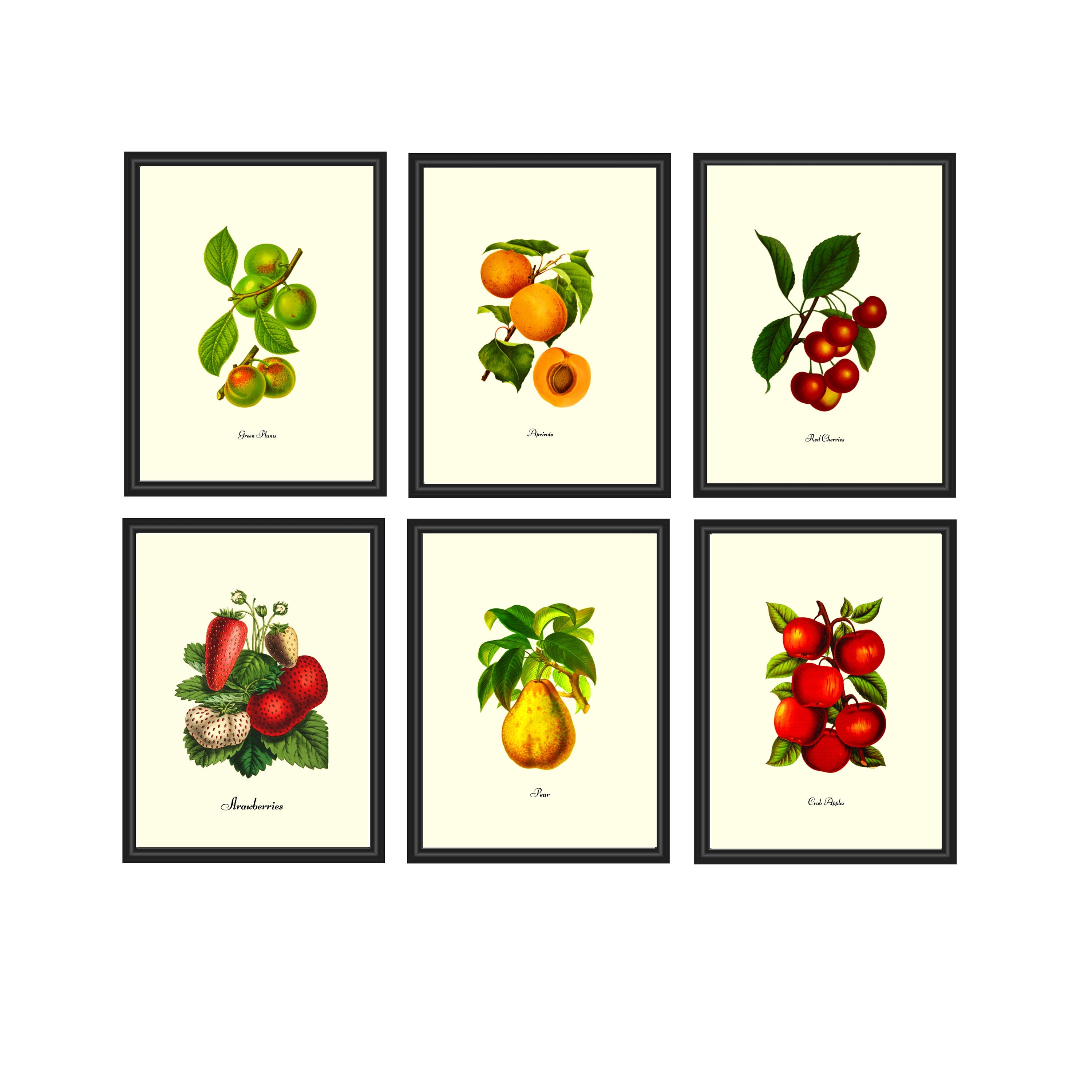 Kitchen Wall Decor Fruit Print Set of 6 Kitchen Wall Art Etsy