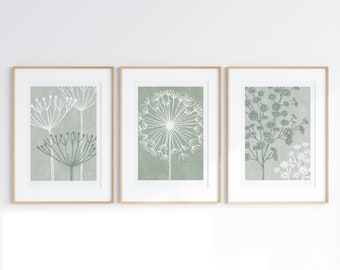 Set of 3 Sage Green Prints, Seed Head Art, Botanical Art, Natural Wall Decor, Grey Green, Tranquil Living Room, Green Bedroom Art, Unframed