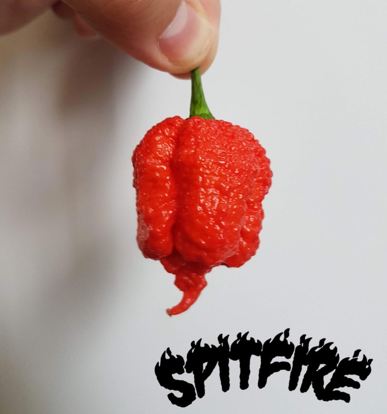 carolina reaper seeds austin carolina reaper seeds austin