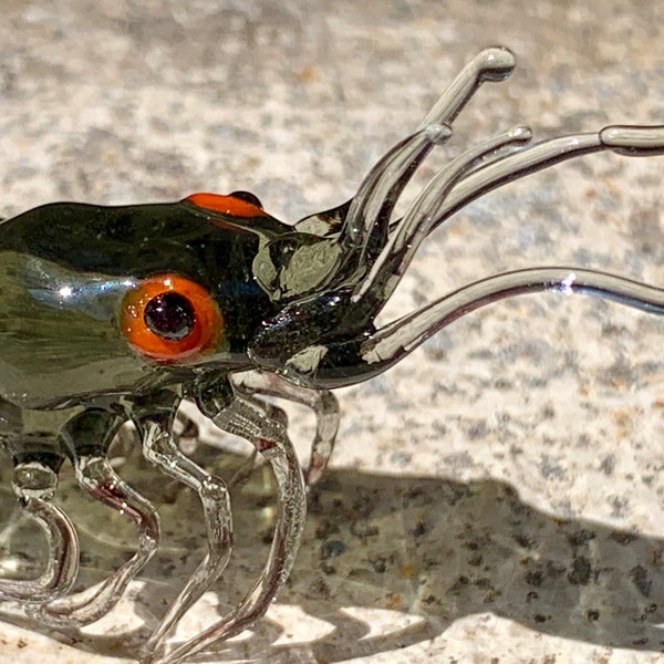 Murano glass Shrimp prawn lampworked in Venice by Umberto Ragazzi. See my glass art animals and figurines with certificate of authenticity.