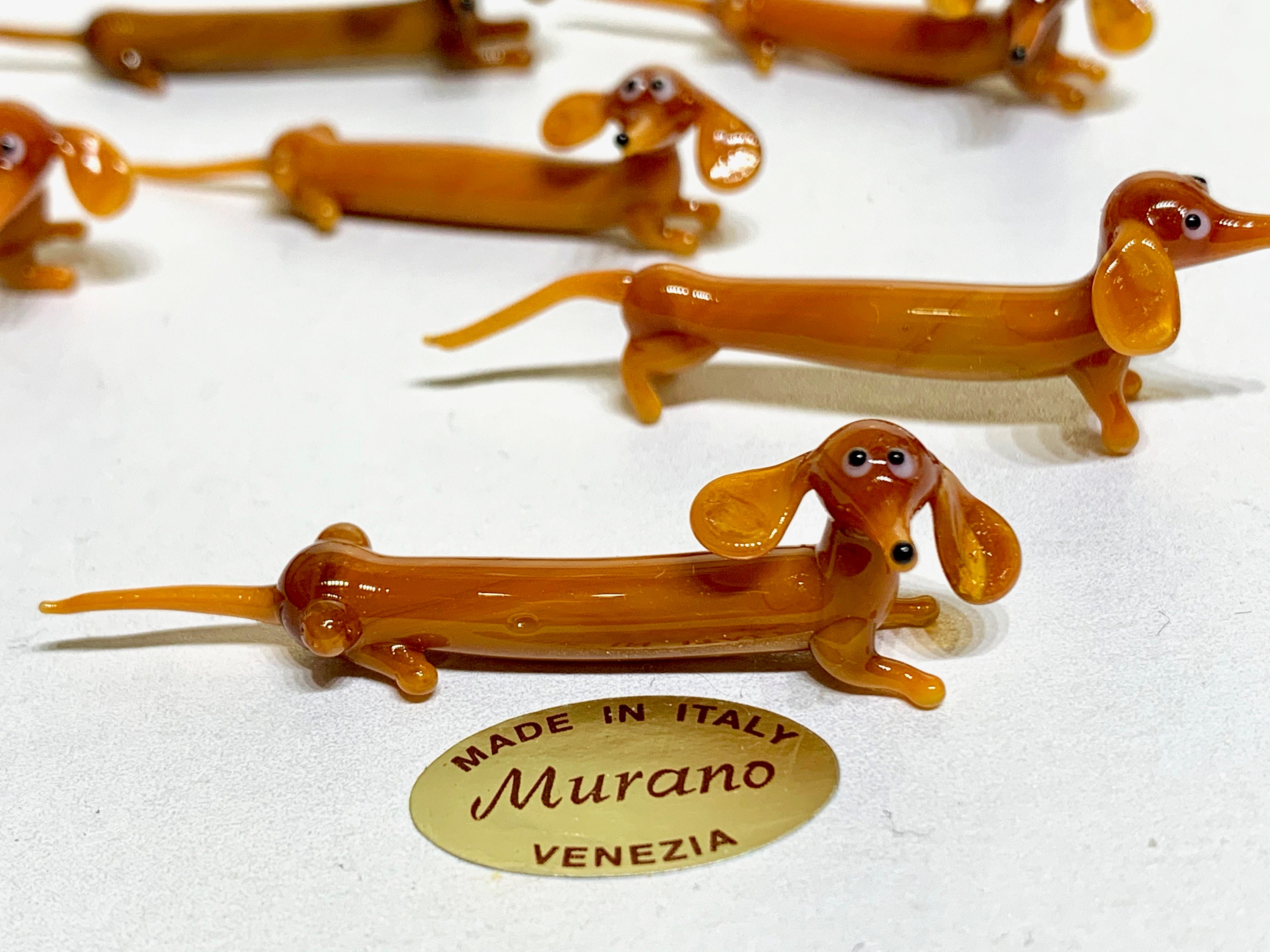 micro sausage dog