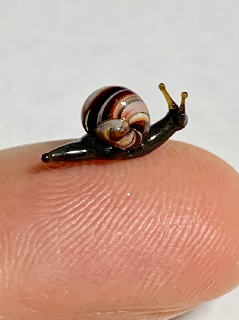 murano snail
